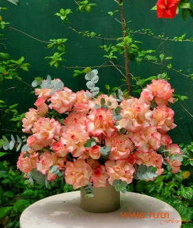 Hộp Hoa 08
