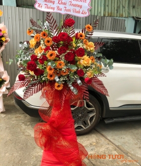 Hoa Khai Trương 11