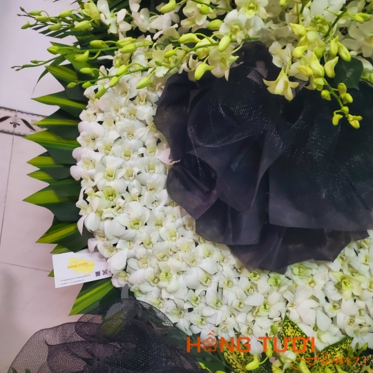 Hoa Chia Buồn 19