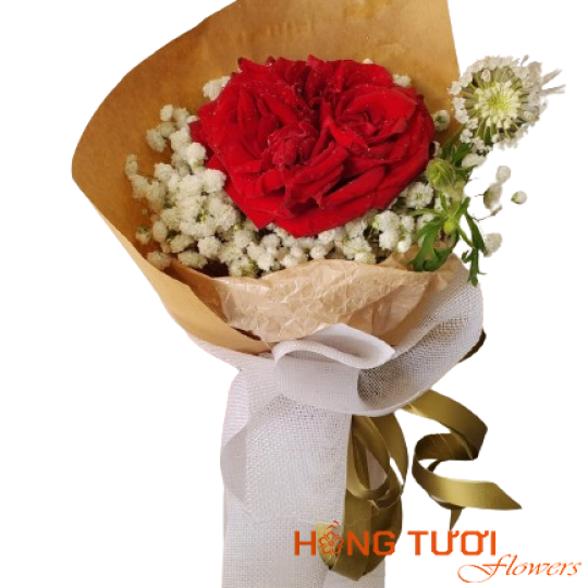 Hoa Bó 17