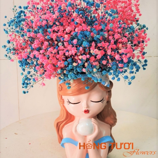 Bình Cô Gái Baby 04