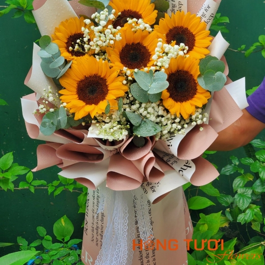 Hoa Bó 19