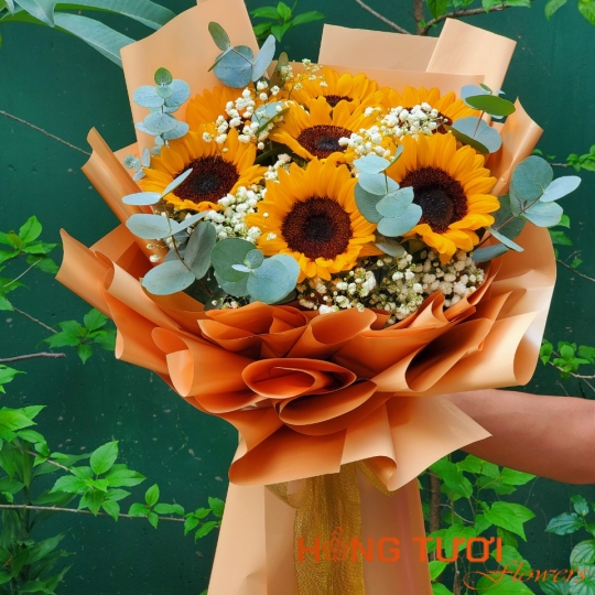 Hoa Bó 19