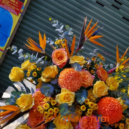 Hoa Khai Trương 01