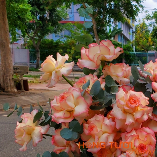 Flowers For Morther 01