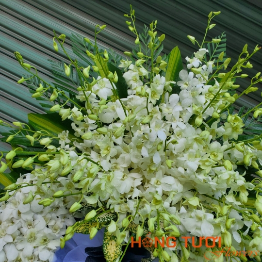 Hoa Chia Buồn 01