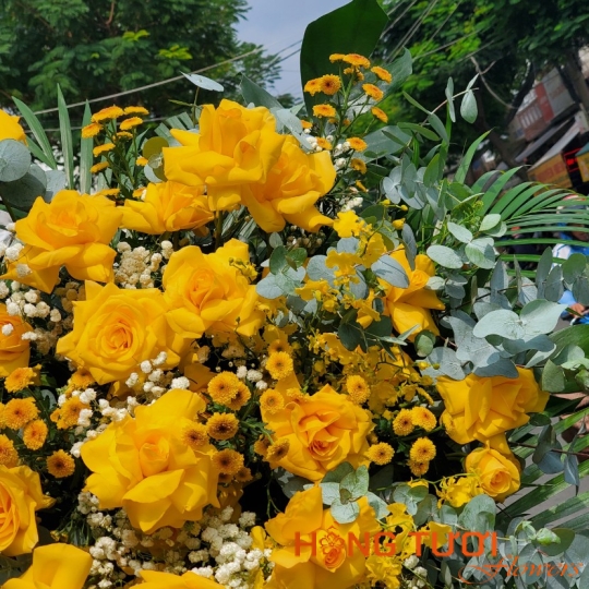 Hoa Khai Trương 12