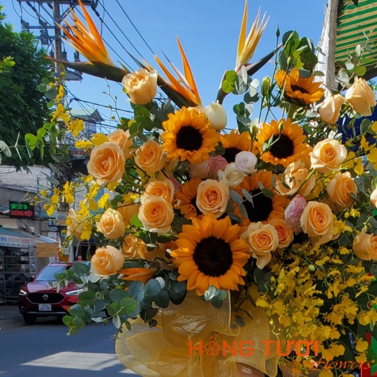 Hoa Khai Trương 13