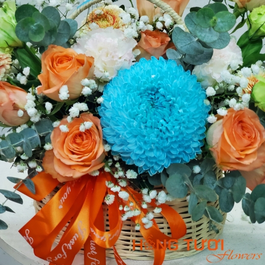Cúc Mẫu Đơn 02