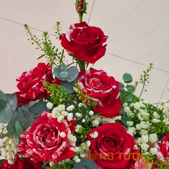 Happy New Year 2024