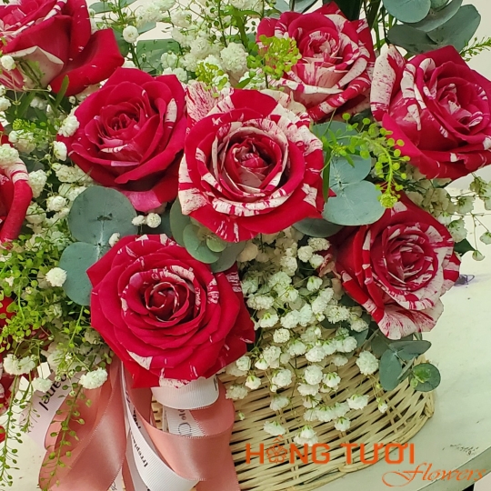 Happy New Year 2024