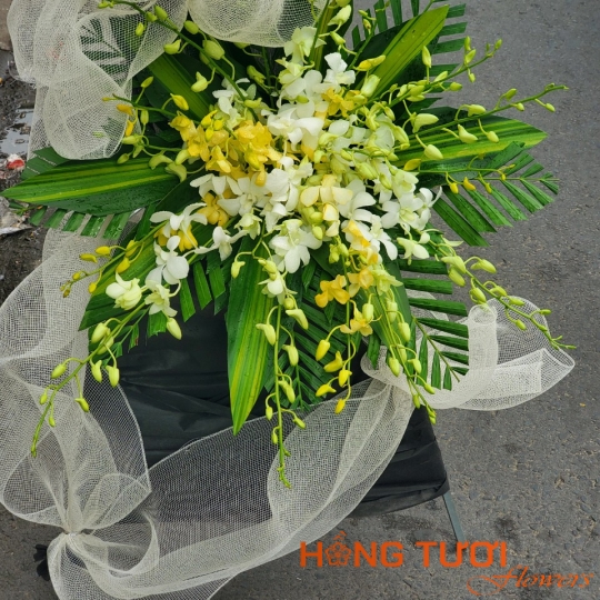 Hoa Chia Buồn 22