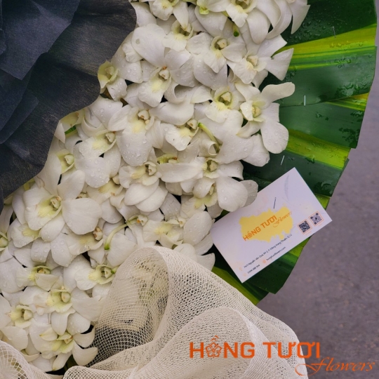 Hoa Chia Buồn 22