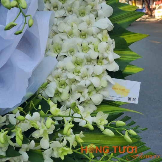 Hoa Chia Buồn 23