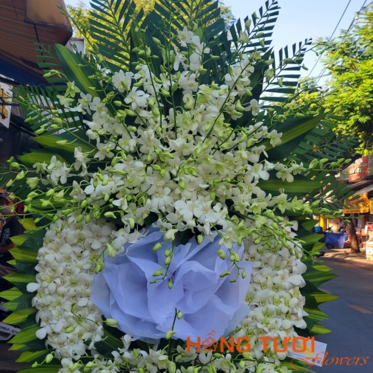 Hoa Chia Buồn 23