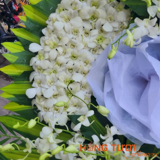 Hoa Chia Buồn 23