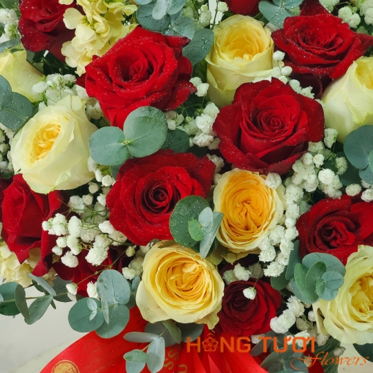 Hộp Hoa 11