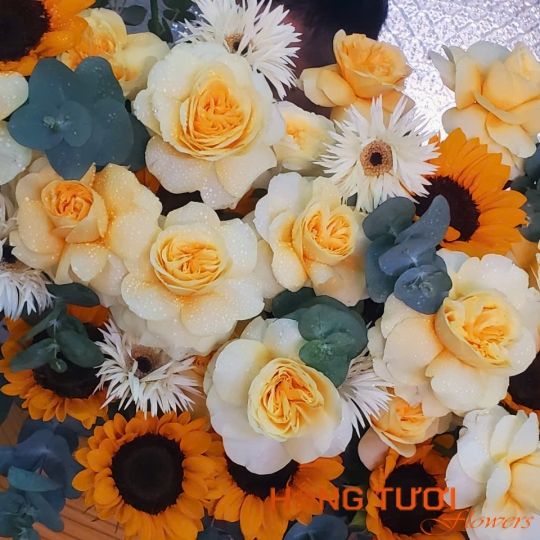 Hộp Hoa 17