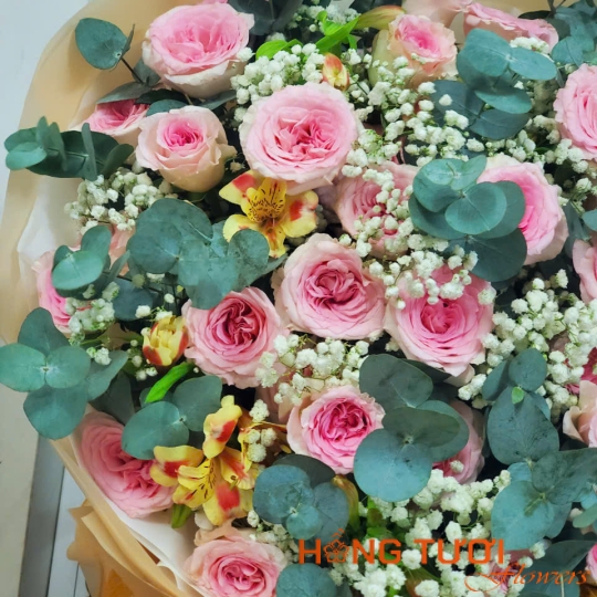 Hoa Sinh Nhật 14