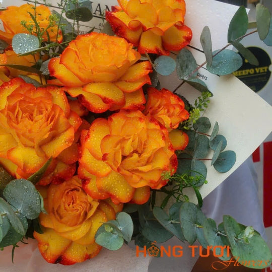 Hoa Sinh Nhật 18