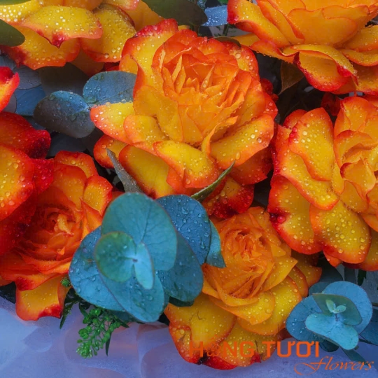 Hoa Sinh Nhật 18