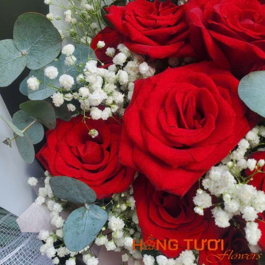 Hoa Sinh Nhật 21