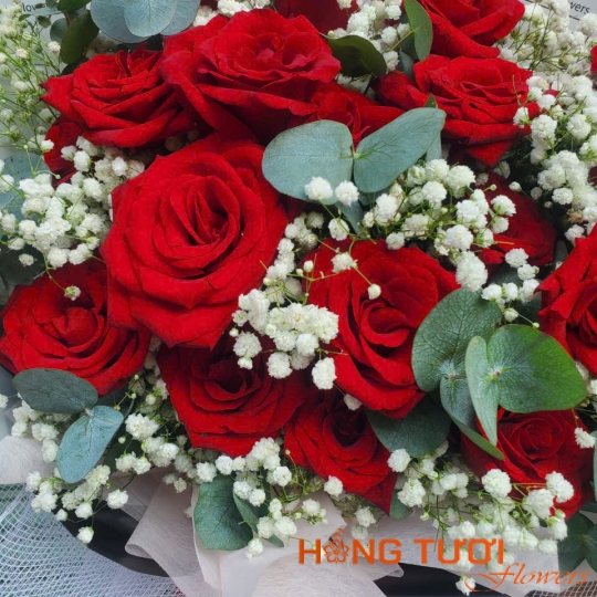 Hoa Sinh Nhật 21